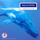 Baleines : Le chant des baleines